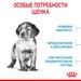 Royal Canin Medium Puppy Корм сухой для щенков средних размеров до 12 месяцев – интернет-магазин Ле’Муррр
